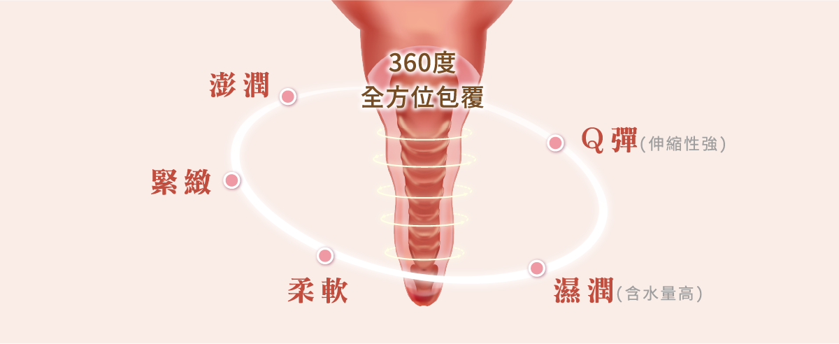 資產-5